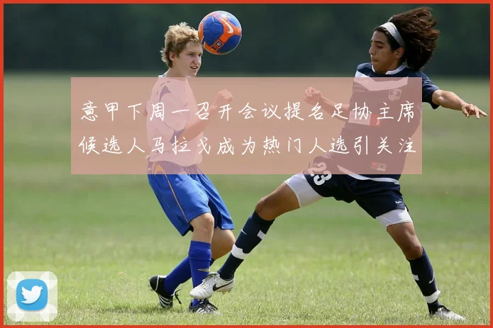 意甲下周一召开会议提名足协主席候选人马拉戈成为热门人选引关注